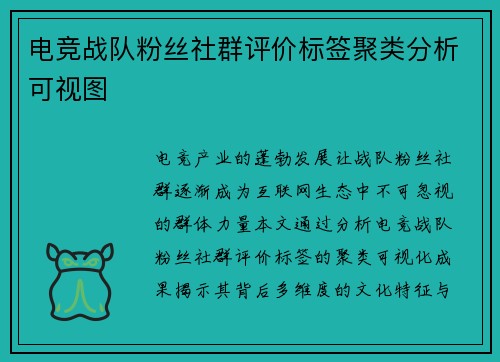 电竞战队粉丝社群评价标签聚类分析可视图